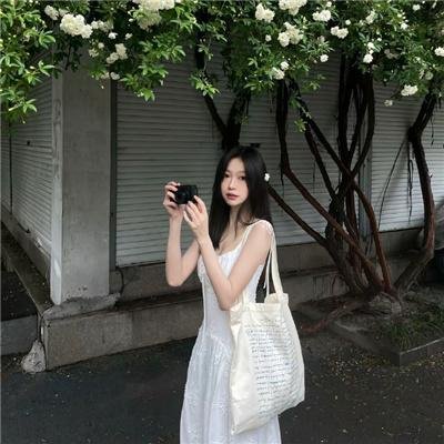 双子座计划